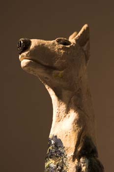 CRW_5896-01