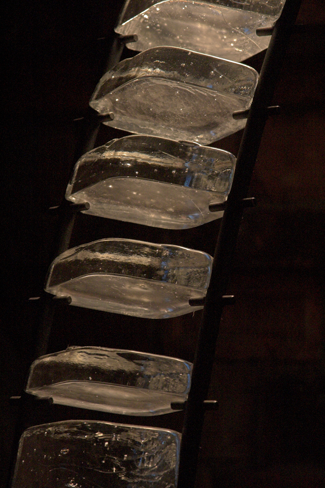 CRW_9318-01