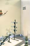 CRW_9099-01